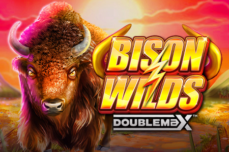 Bison Wilds DoubleMax