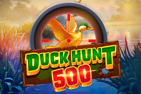 Duck Hunt 500