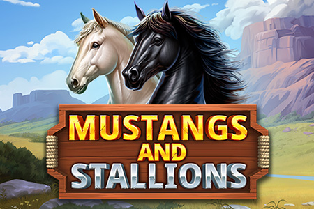 Mustangs and Stallions