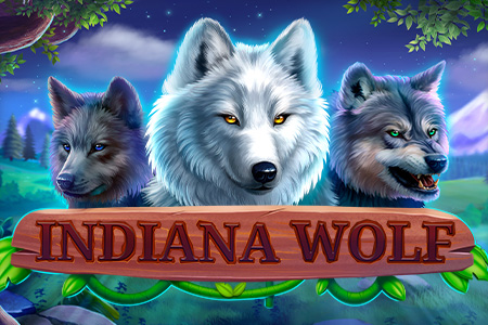 Indiana Wolf