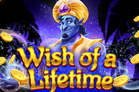 Wish of a Lifetime: Hold & Win