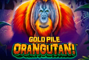 Gold Pile Orangutan!